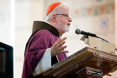 Cardinal Seán P. O'Malley gathers with the various Boston groups taking part in the 2014 March for Life at a morning Mass at the Shrine of the Sacred Heart in Washington, D.C. Jan. 22, 2014.  (Pilot photo by Gregory L. Tracy)