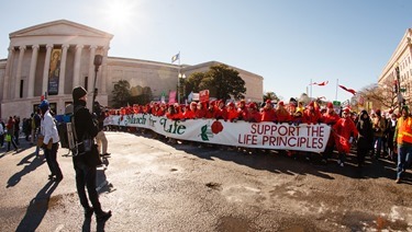 Cardinal O’Malley joins participants in the Archdiocese of Boston’s Pilgrimage for Life at the annual March for Life in Washington, D.C. Jan. 22, 2014.  (Pilot photo by Gregory L. Tracy)