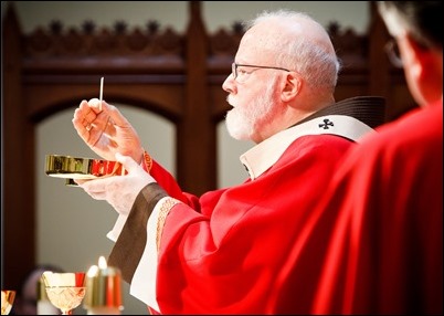 The 2017 Red Mass sponsored by the Lawyers’ Guild of the Archdiocese of Boston, celebrated by the Cardinal Seán P. O'Malley at Our Lady of Good Voyage Chapel Oct. 22, 2017. Pilot photo/ Gregory L. Tracy 